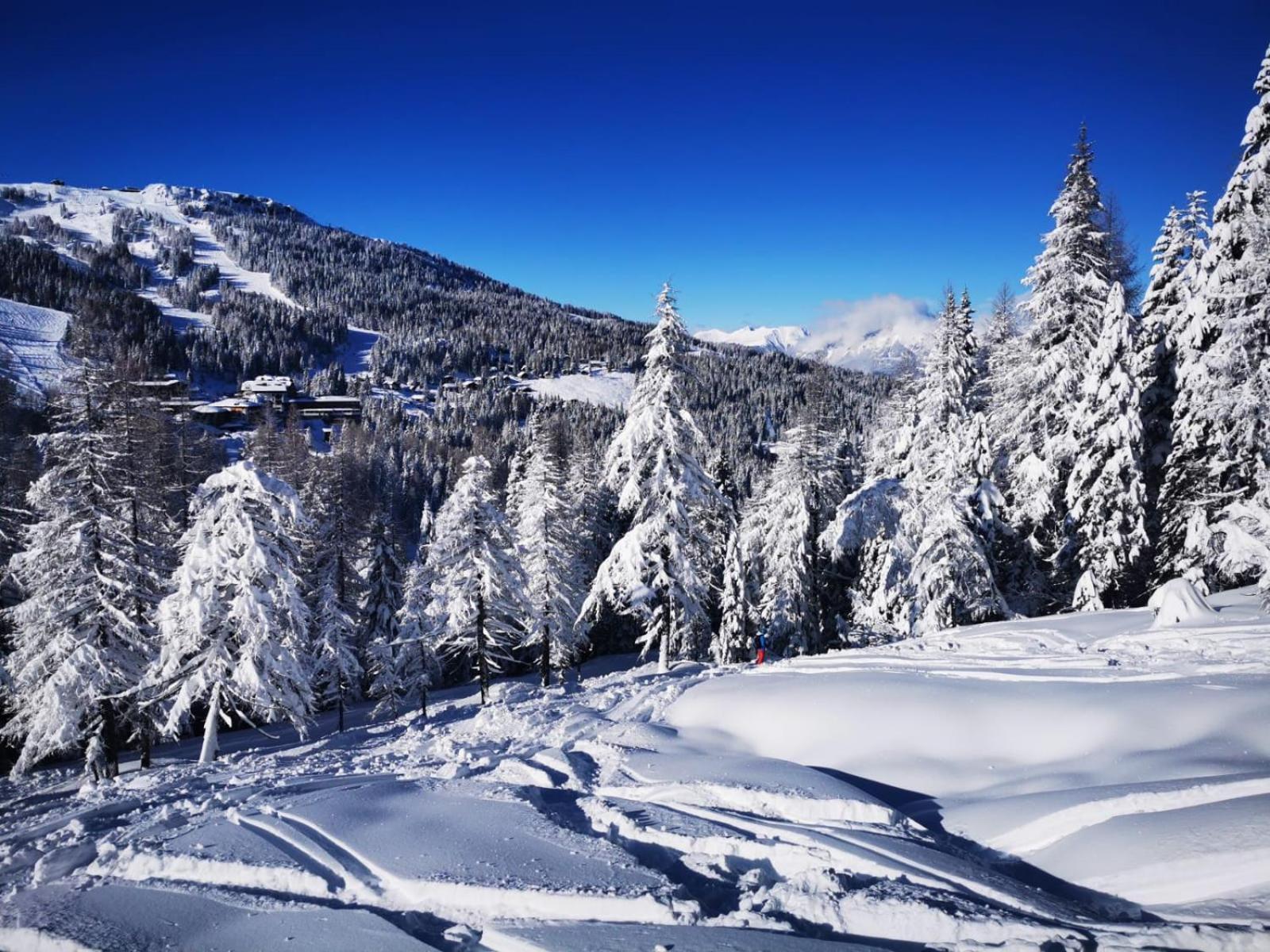 Naturgut Gailtal Hotel Sankt Stefan an der Gail Exterior foto